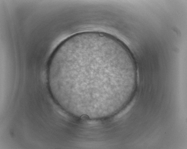 X0000115391501200911241235