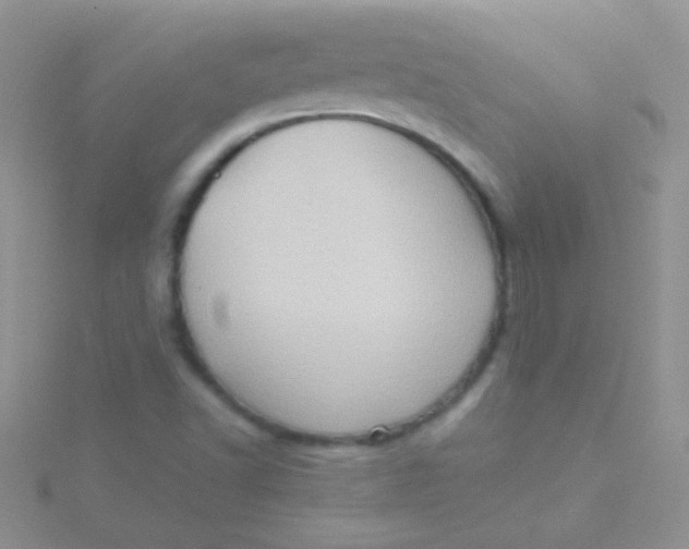 X0000115391502200911241235