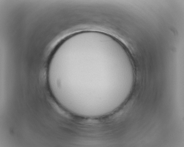 X0000115391503200911241235