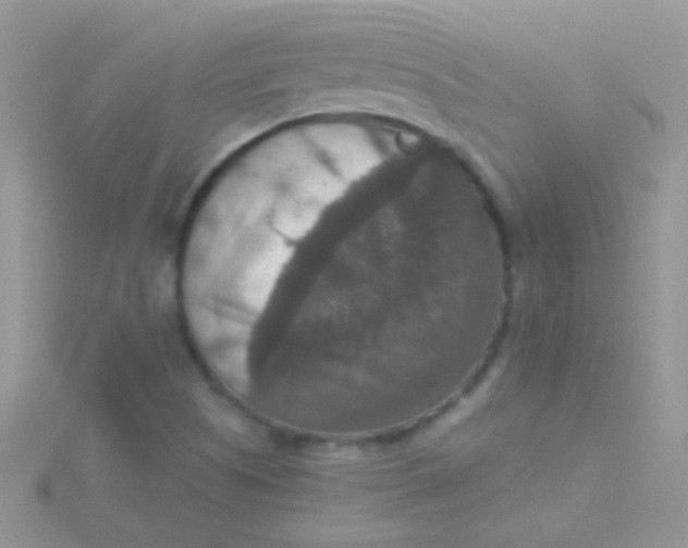 X0000115391505200911241235