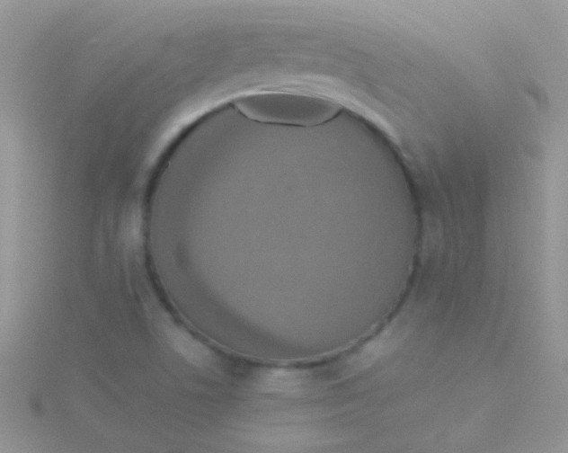 X0000115391506200911241235