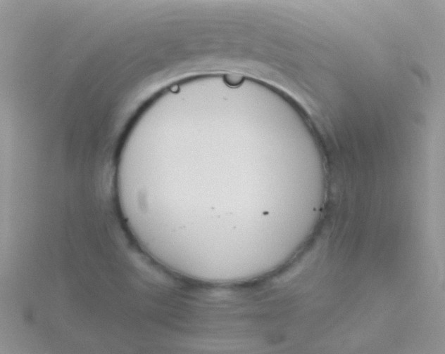 X0000115391507200911241235