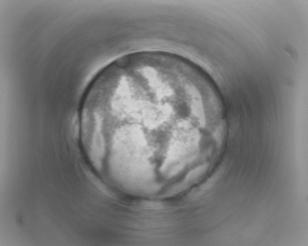 X0000115391509200911241236