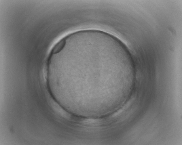 X0000115391510200911241236