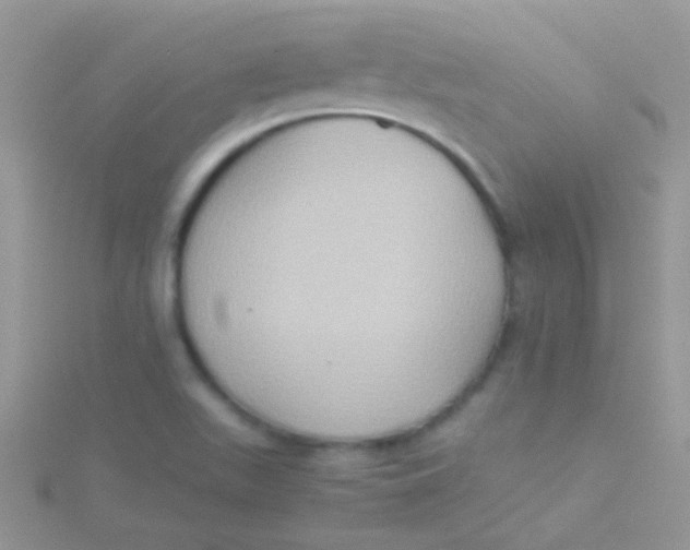 X0000115391511200911241236