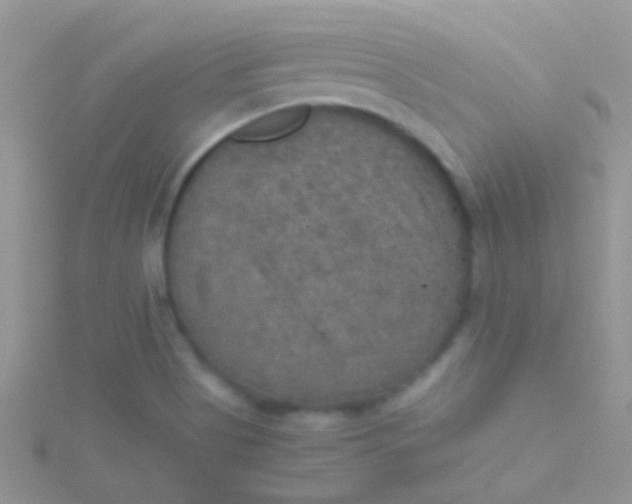 X0000115391513200911241236