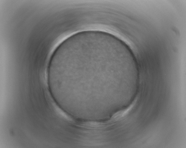 X0000115391517200911241236