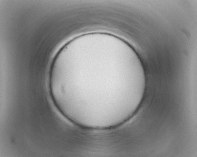 X0000115391518200911241236