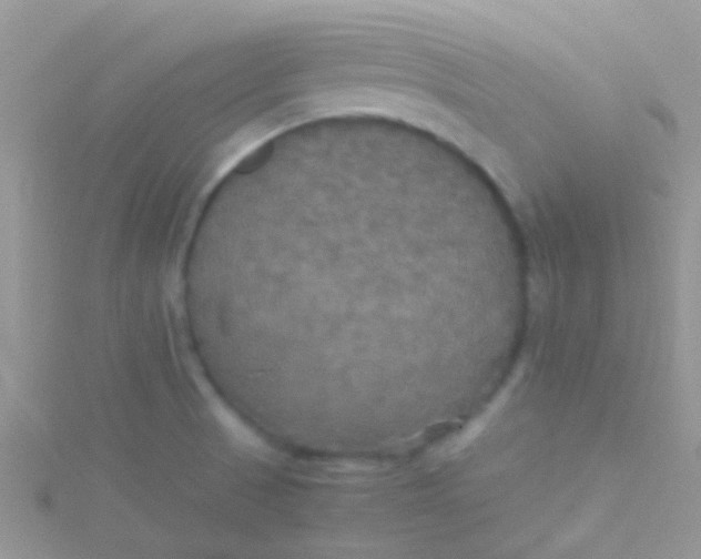 X0000115391521200911241236