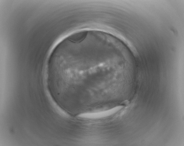 X0000115391522200911241236