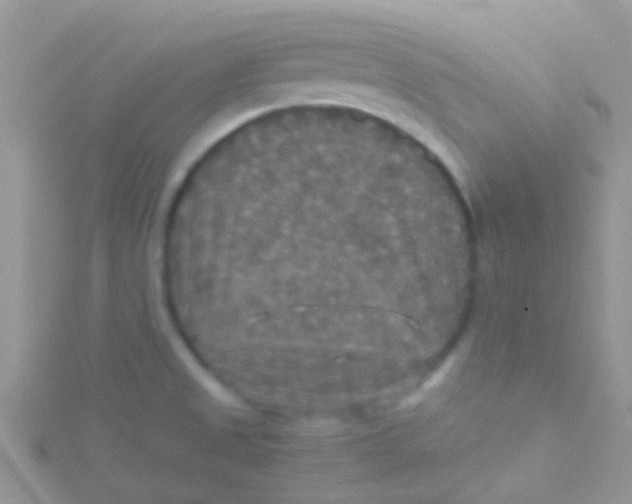 X0000115391525200911241236