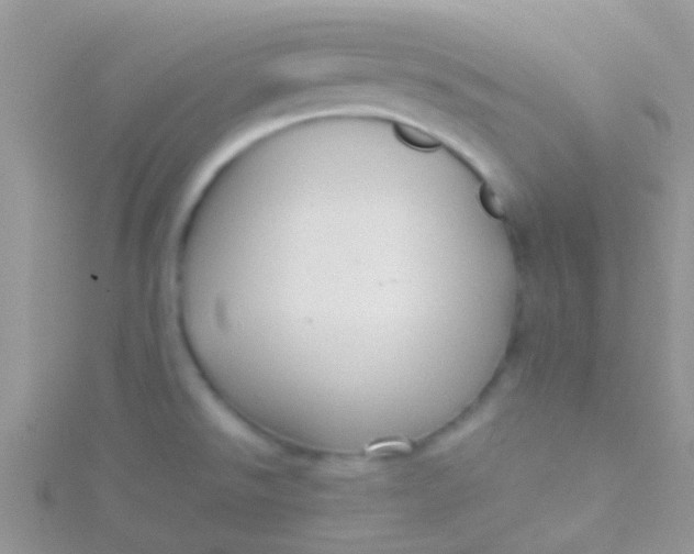 X0000115391526200911241236