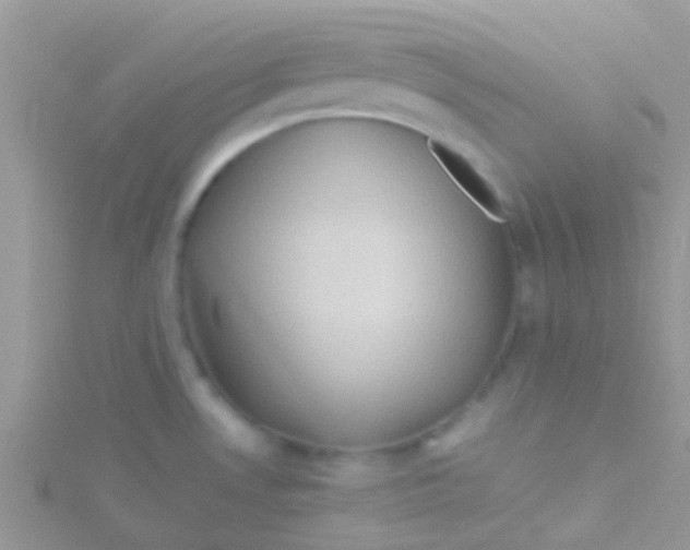 X0000115391530200911241236