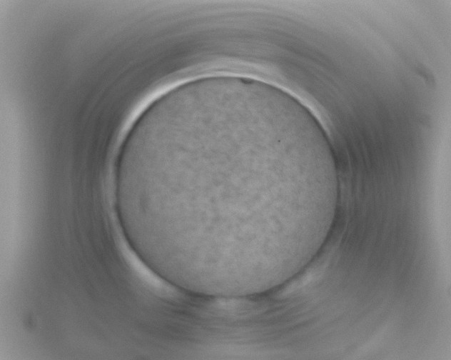 X0000115391531200911241236