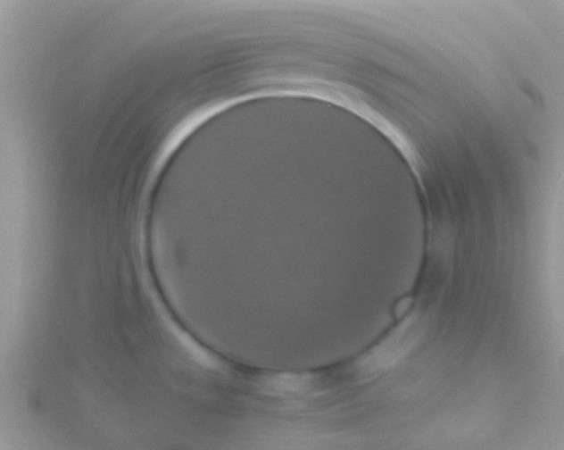 X0000115391533200911241236