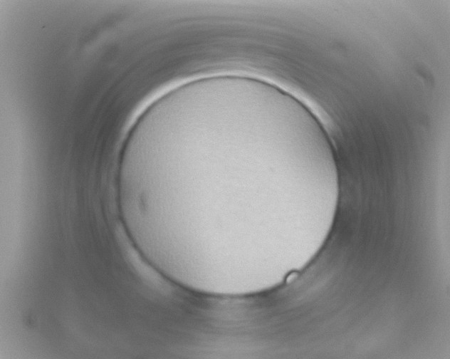 X0000115391534200911241236