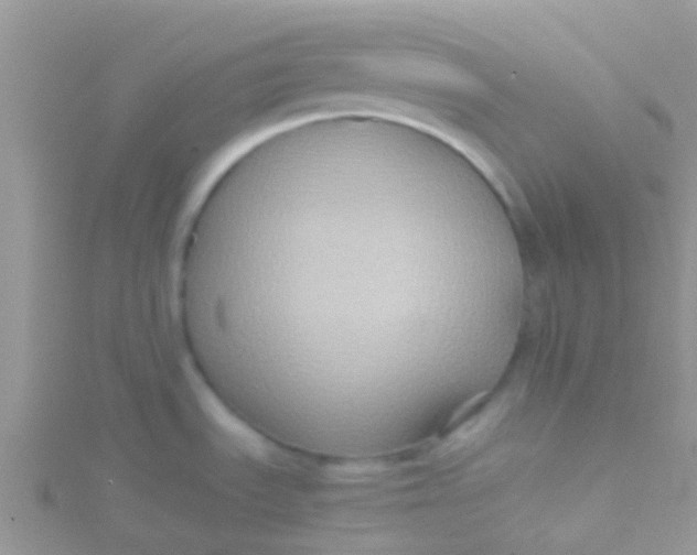 X0000115391535200911241236