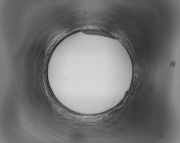 X0000115390001200912011239