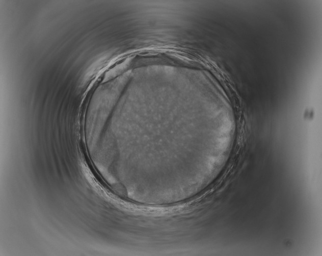 X0000115390002200912011239