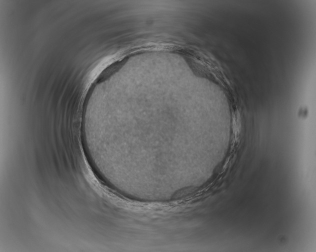 X0000115390003200912011239