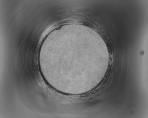 X0000115390004200912011239