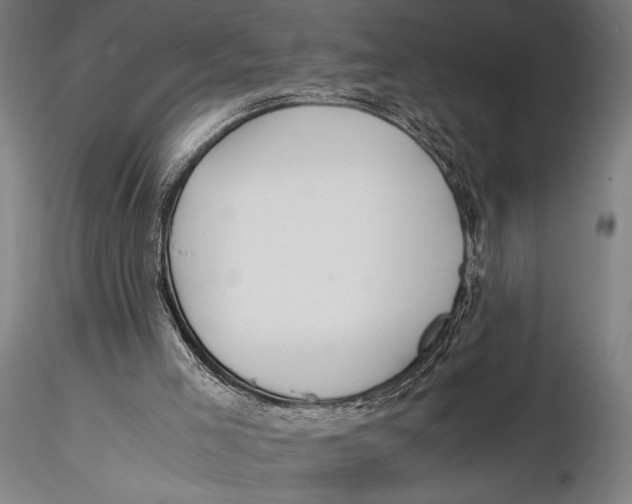 X0000115390005200912011239