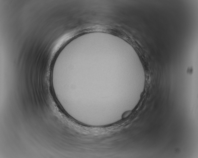 X0000115390006200912011239