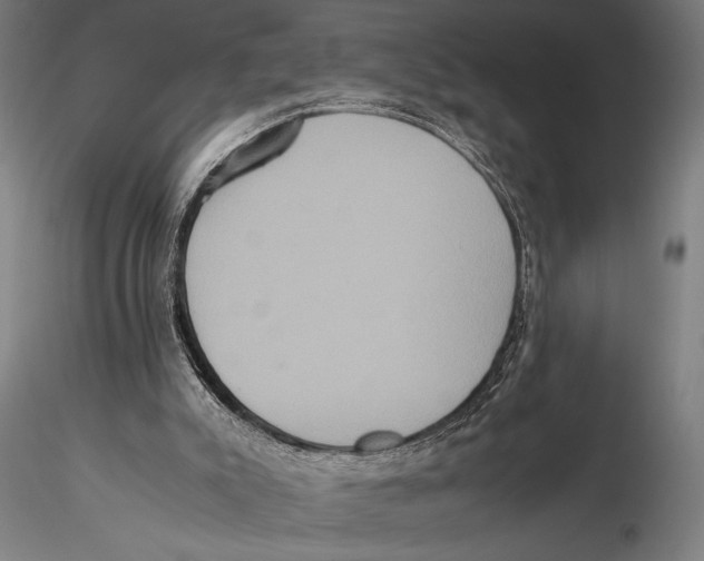 X0000115390007200912011239