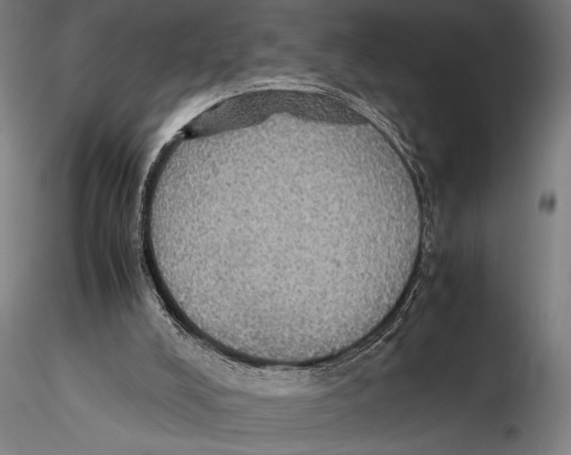 X0000115390008200912011239