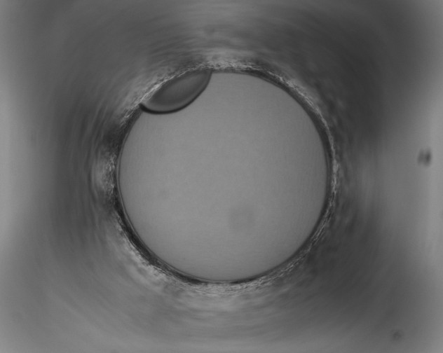 X0000115390009200912011239