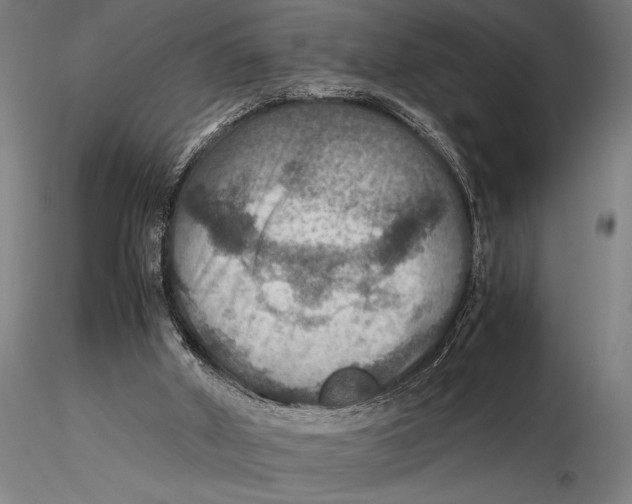 X0000115390010200912011239