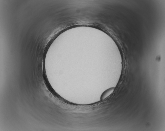 X0000115390011200912011239