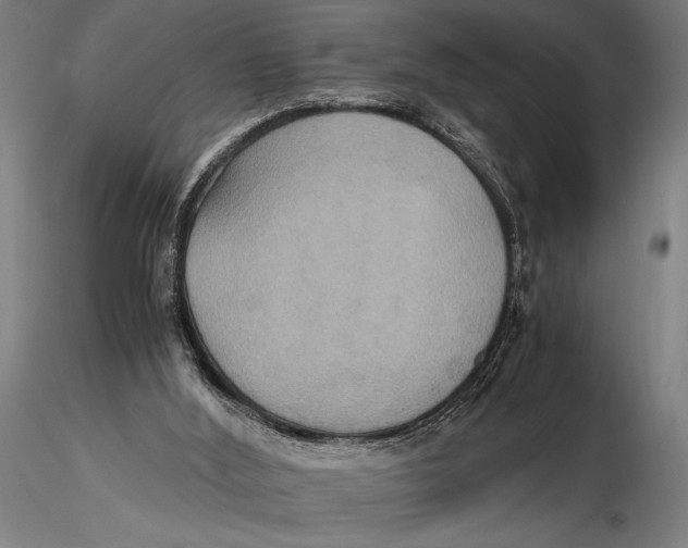 X0000115390012200912011239