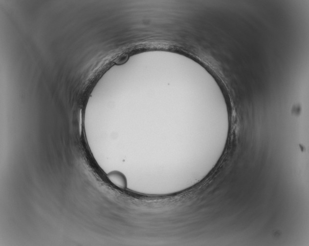 X0000115390013200912011239