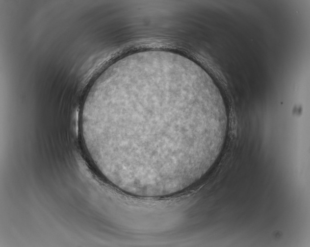 X0000115390014200912011239