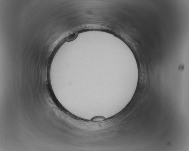 X0000115390015200912011239