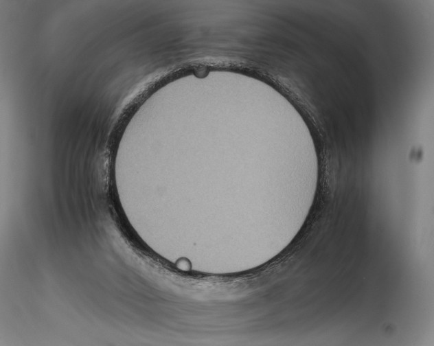 X0000115390016200912011239