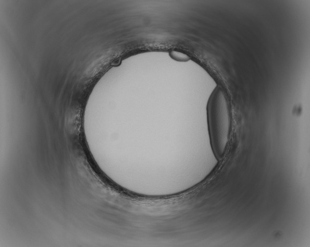 X0000115390017200912011238