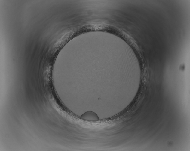 X0000115390018200912011238