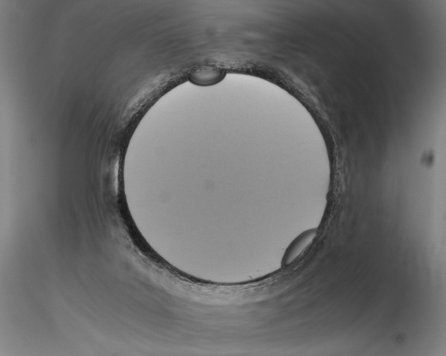 X0000115390019200912011238