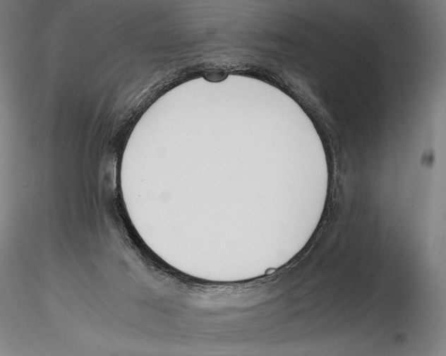 X0000115390021200912011238