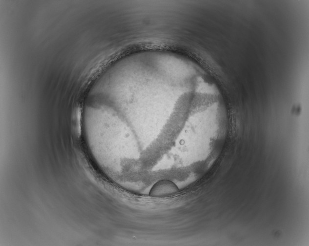 X0000115390022200912011238