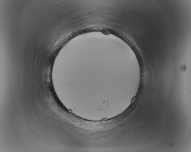 X0000115390023200912011238