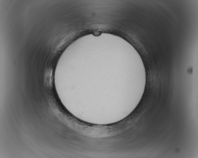 X0000115390024200912011238