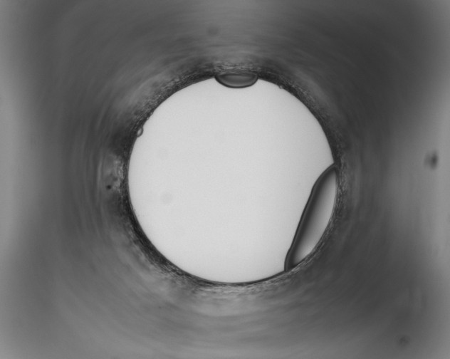 X0000115390025200912011238