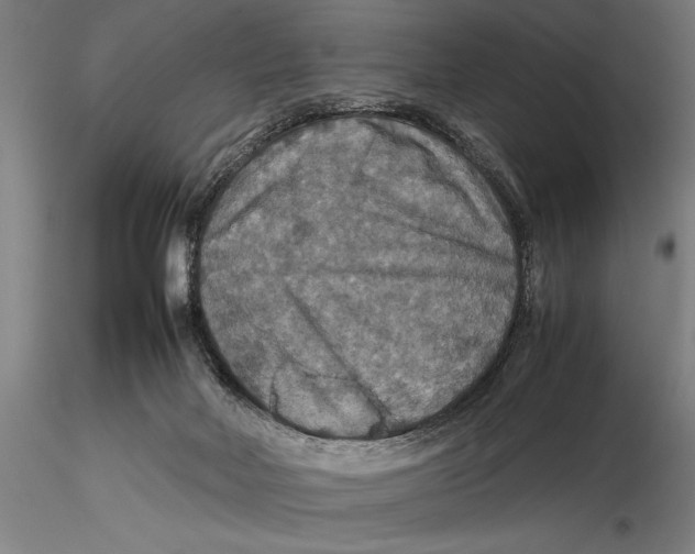 X0000115390026200912011238