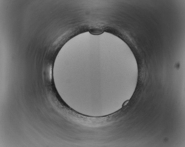 X0000115390027200912011238