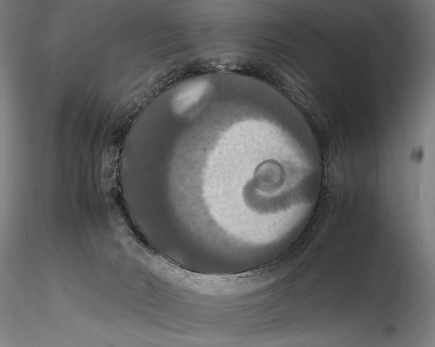 X0000115390030200912011238