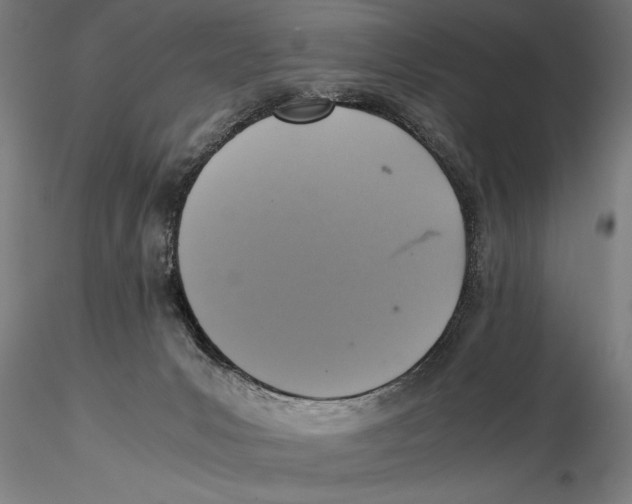 X0000115390031200912011238