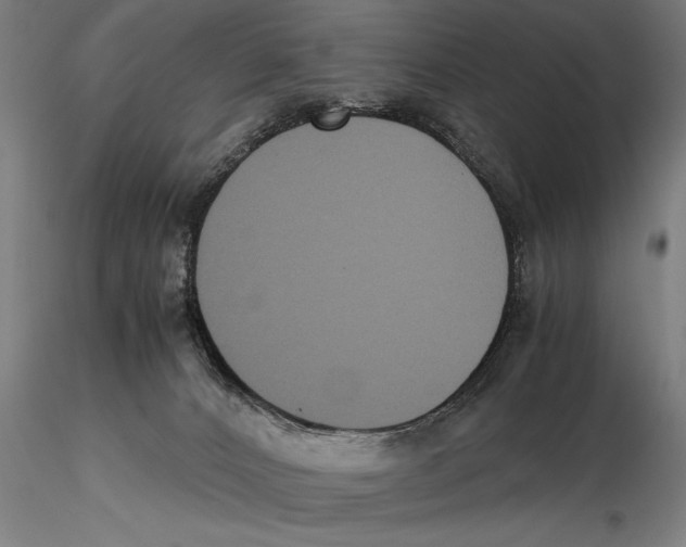 X0000115390032200912011238